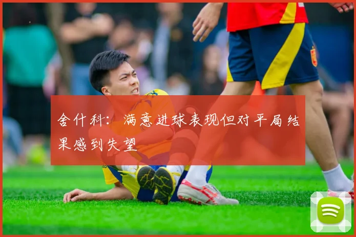 舍什科：满意进球表现但对平局结果感到失望